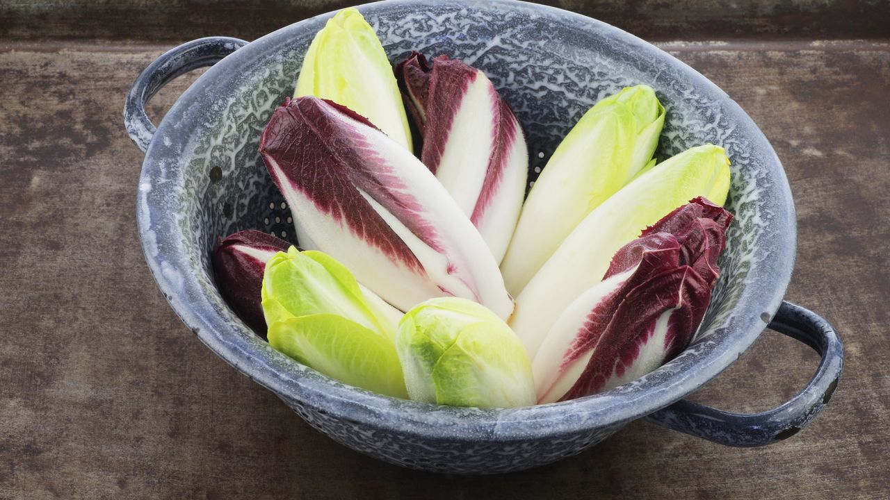 Fresh white and red chicory in a metal colander