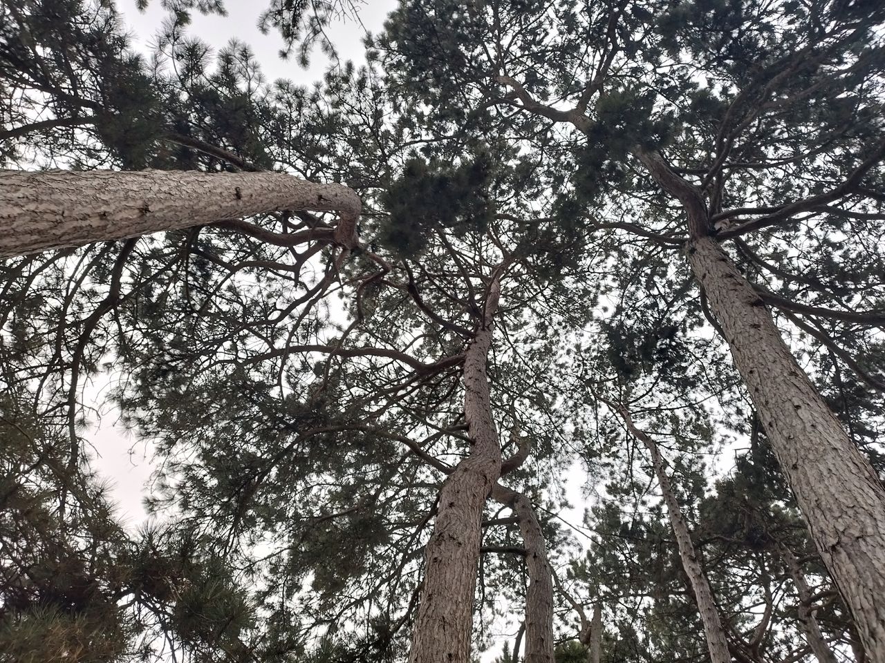 A Xiaomi Poco X4 Pro camera sample