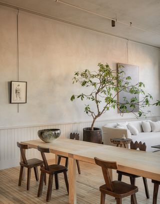 minimalist dining room with indoor tree