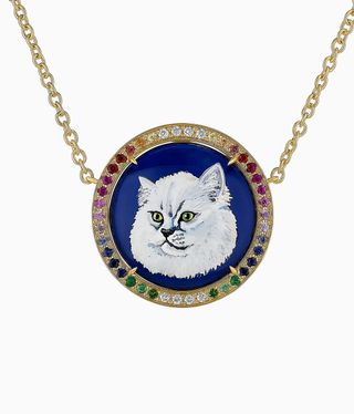 pet portrait of cat in necklace