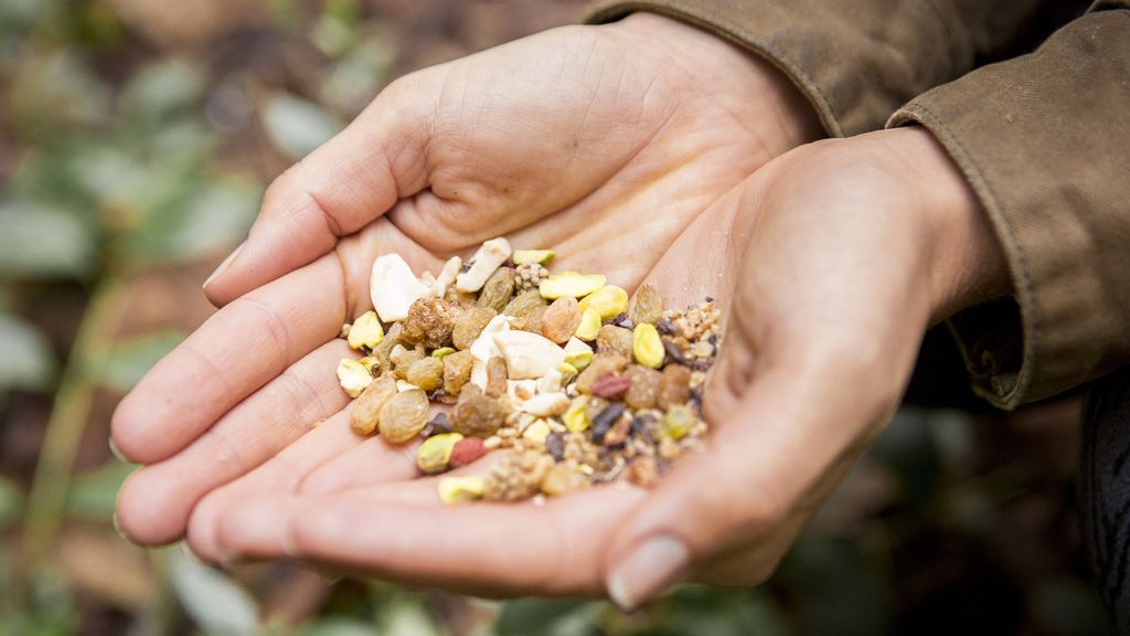 How to make trail mix for your next adventure | Advnture