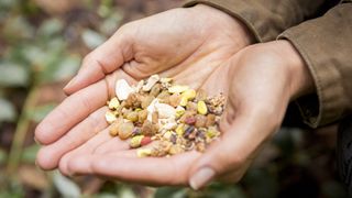 Woman's hands full of trail mix