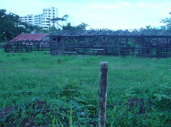 Costa Rica has a mix of old and new structures.