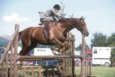 Babette Cole riding Hot Tip