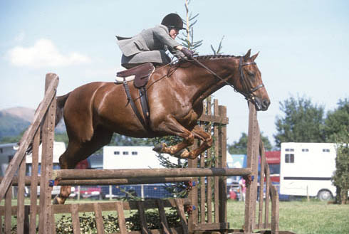 Babette Cole riding Hot Tip