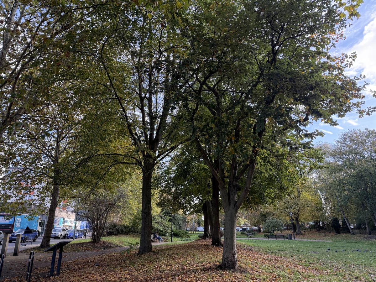 iPhone 17 Pro Max main image