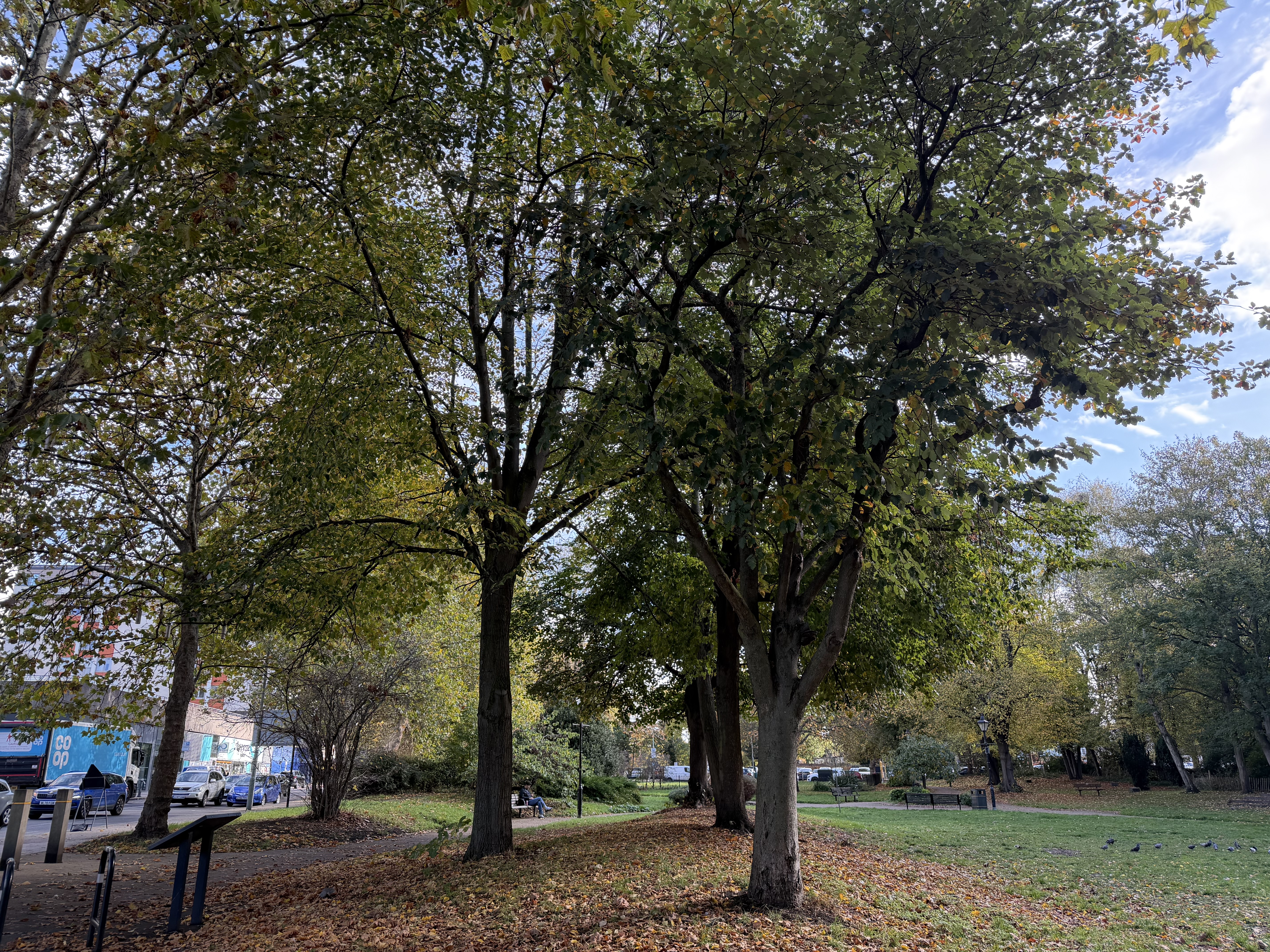 iPhone 17 Pro Max main image