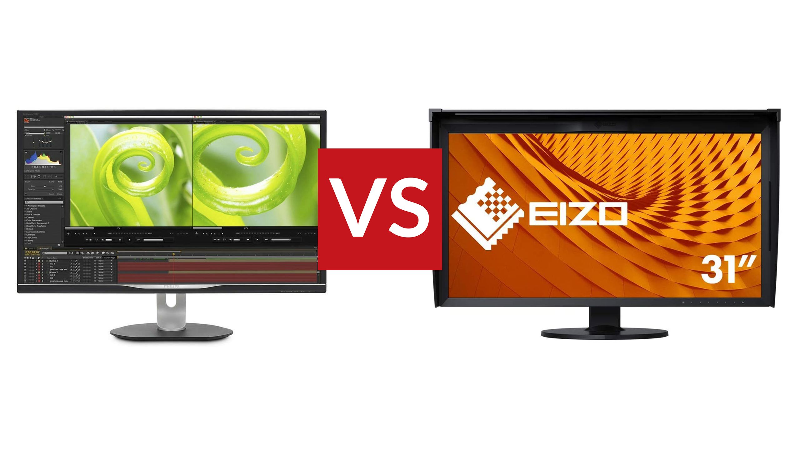 PHILUPS Brilliance 328P 31.5型4K対応 Philips Brilliance 328P vs Eizo Coloredge CG319X: Two top 4K