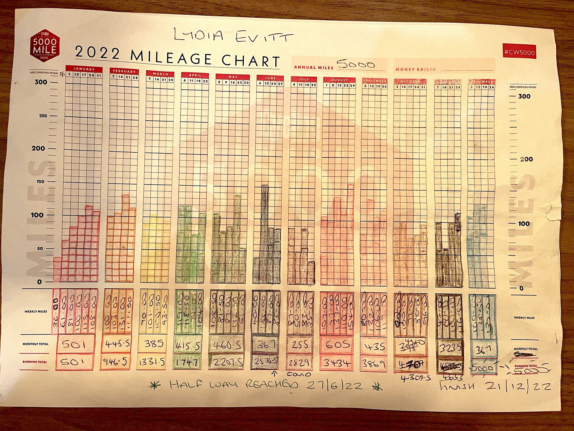 analogue-strava-the-best-and-most-colourful-2022-mileage-charts-of