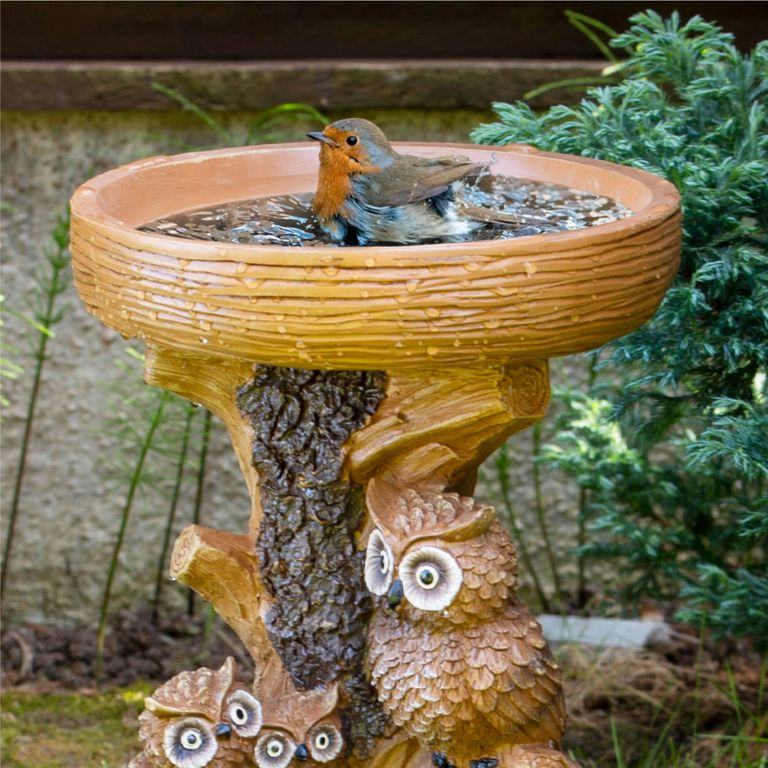 How to clean a bird bath a simple stepbystep Ideal Home