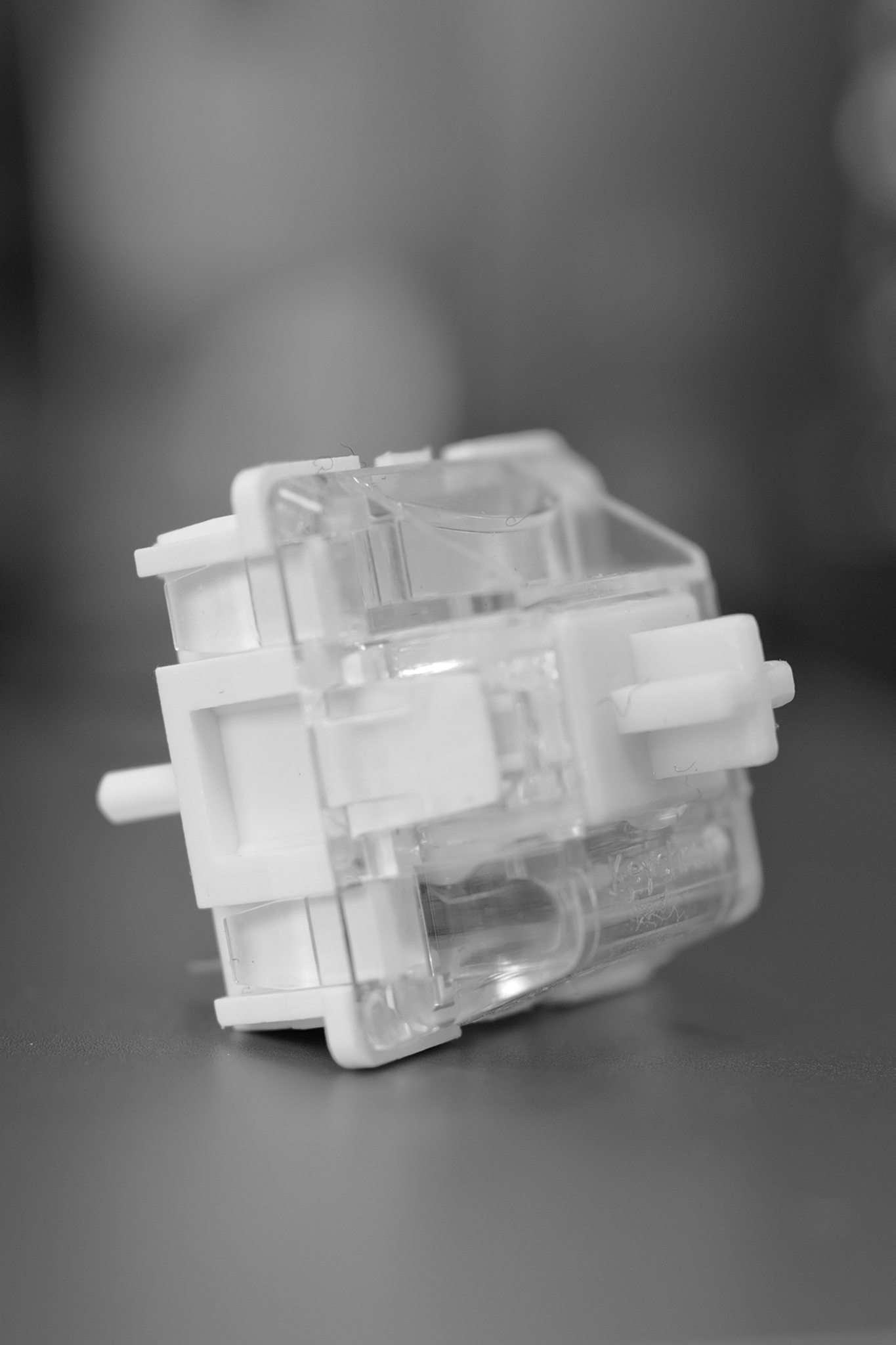 Leica Q3 Monochrom vs Leica Leitzphone macro comparison