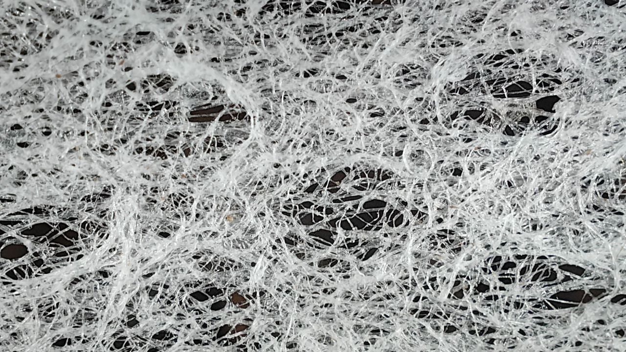 Microscopic picture of a teabag taken using the Realme GT 2 Pro