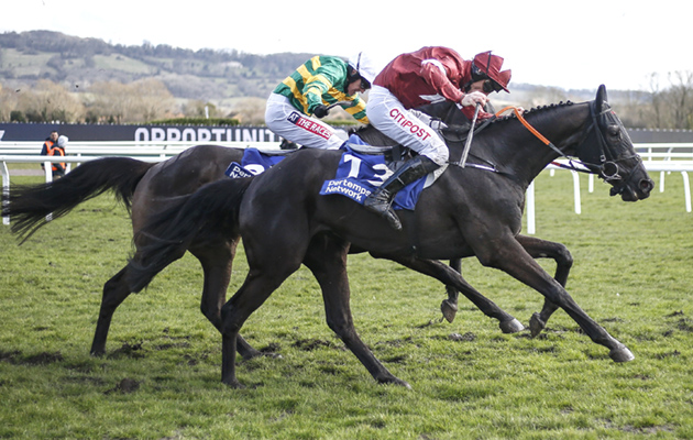 Cheltenham Festival - St Patrick's Thursday