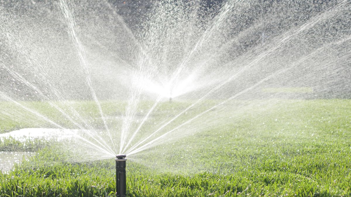 How to make grass greener in 8 easy steps | Tom's Guide