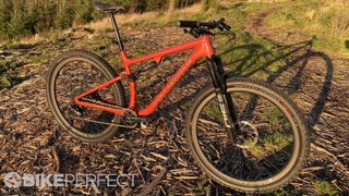 A Specialized Epic Evo Expert in low sunset light