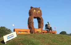 IMG_7662.jpg