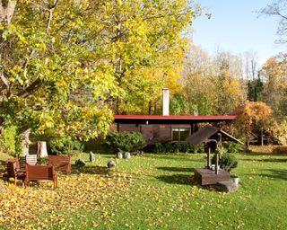 A fall backyard with picnic bench, lawn, and leaves