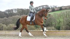 Newton Vamouche being ridden by Elite Dressage&rsquo;s Alex Baker.