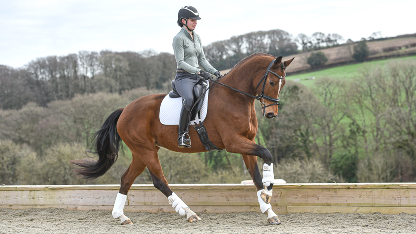 Newton Vamouche being ridden by Elite Dressage&rsquo;s Alex Baker.