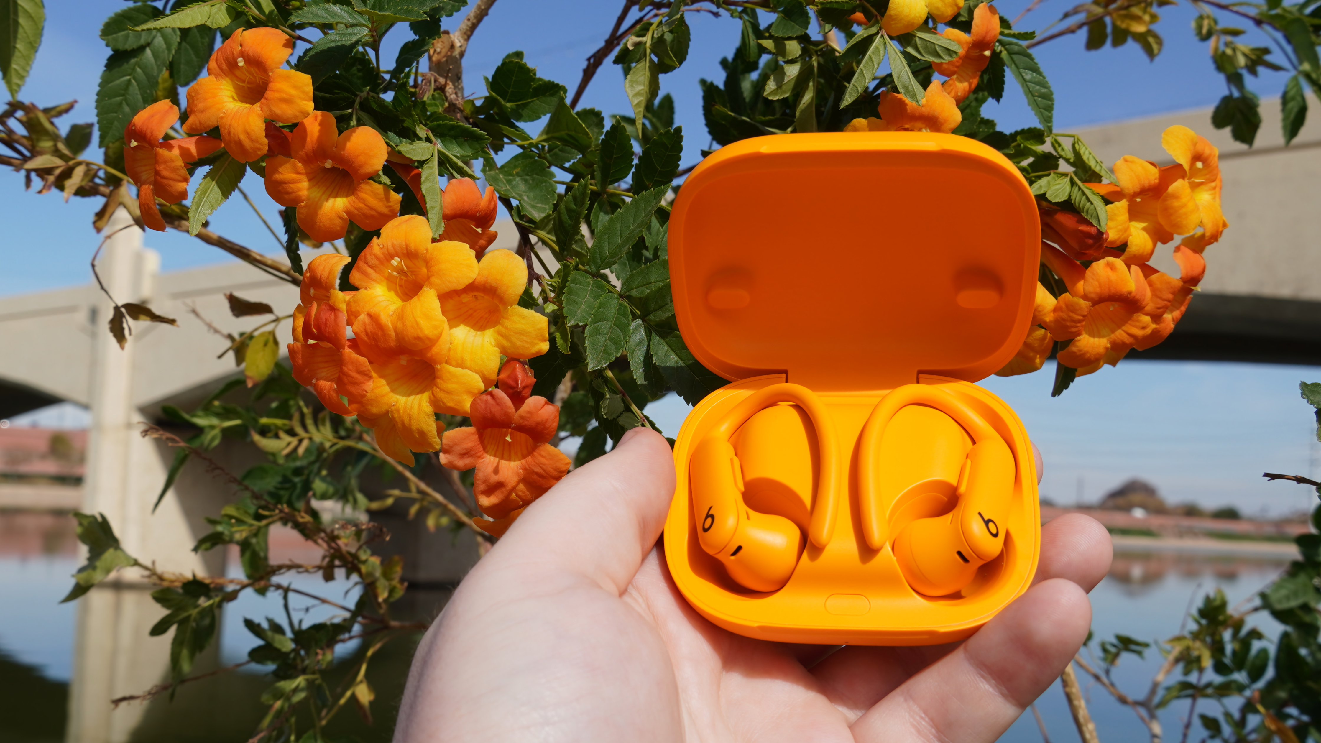 The orange Powerbeats Pro 2 next to the Navy original Powerbeats Pro.