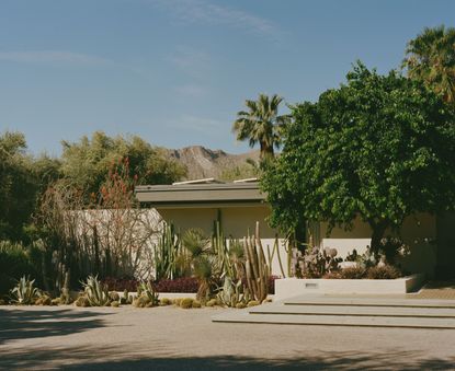 palm springs garden and modernist architecture