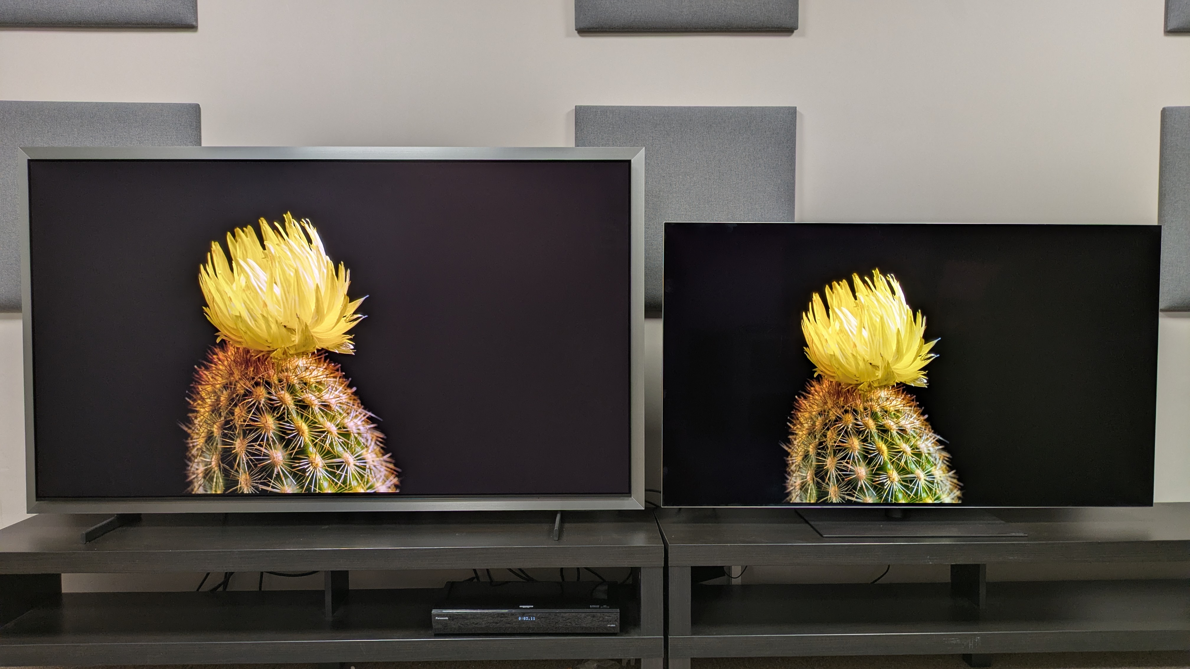 Samsung S99H vs LG G6 showing cactus on screen against black background. Both TVs do a great job reducing reflections even with large dark areas on screen