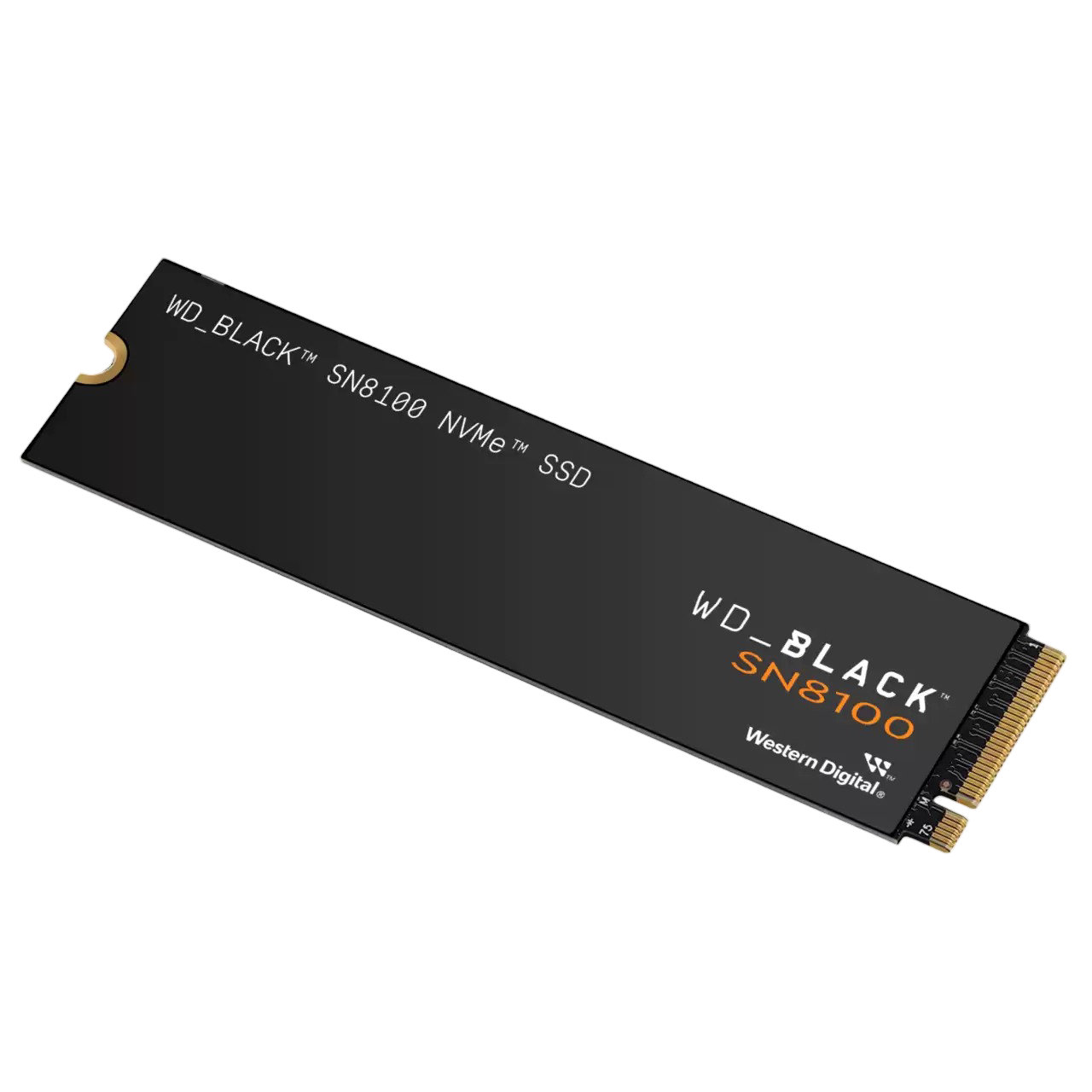 SanDisk WD Black SN8100 PCIe 5.0 NVMe SSD