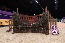 Fence-4_HOYS_PN16_513.jpg