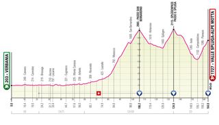 The profile of stage 19 of the 2021 Giro d'Italia