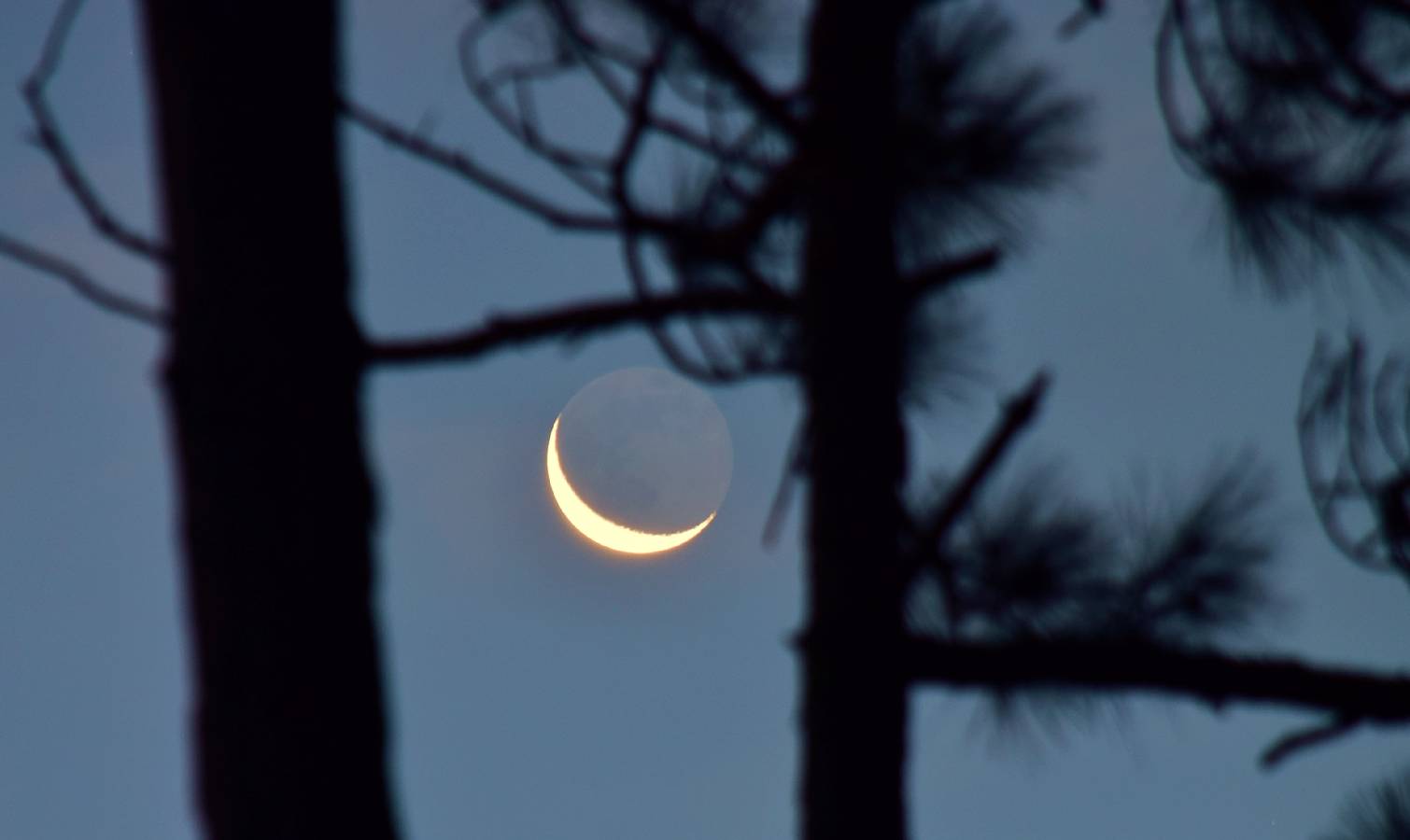 Earthshine 