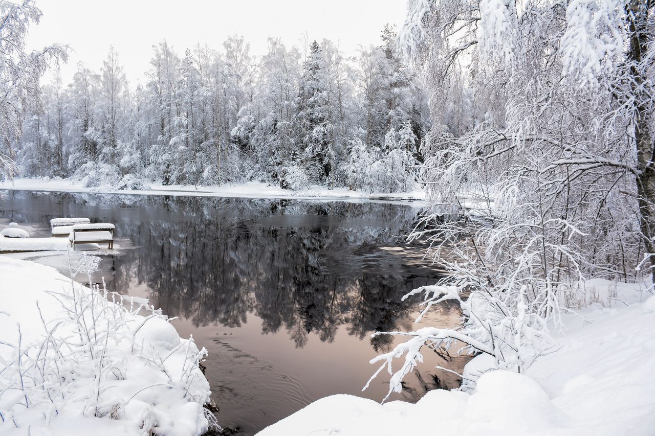 Viola Björkgård - Finland
