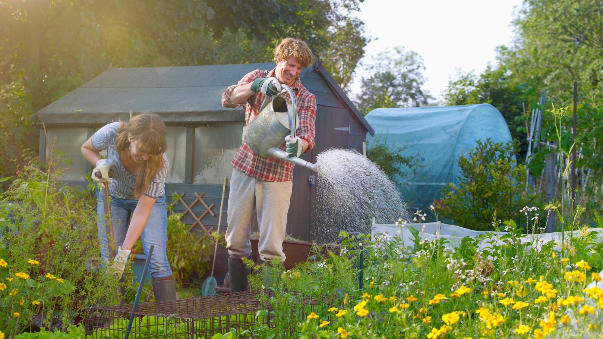 Couple planting a garden