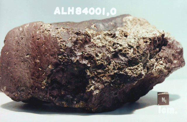 The infamous ALH 84001 — a Mars meteorite returned from Antarctica that sparked controversy concerning the life on Mars question.