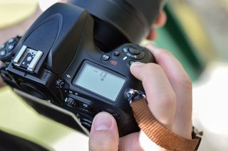 How to photograph birds in flight