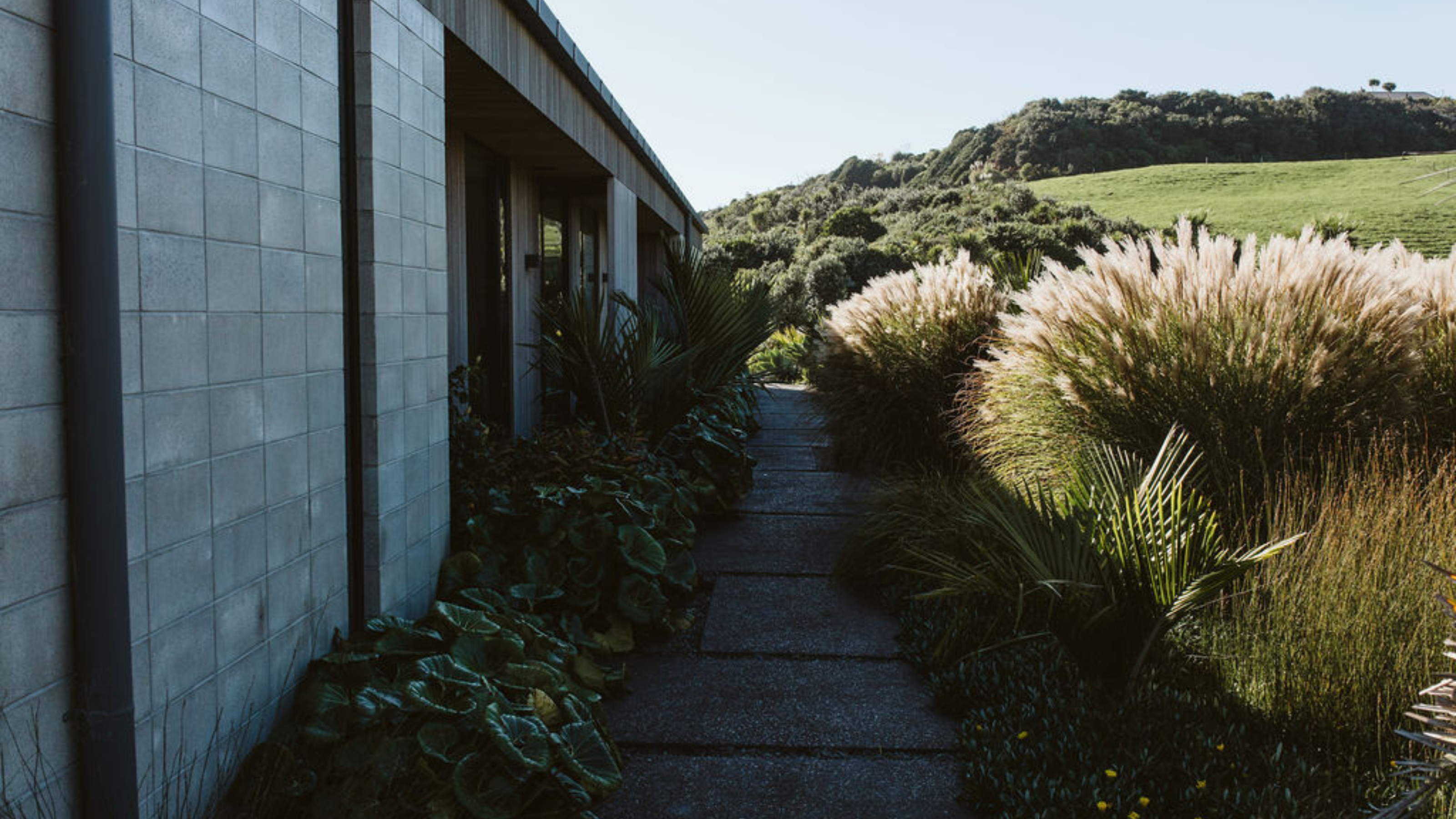 beautiful exposed garden with a pathway surrounded by ornamental grasses 
