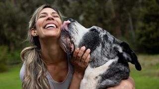 Large dog licking woman’s face