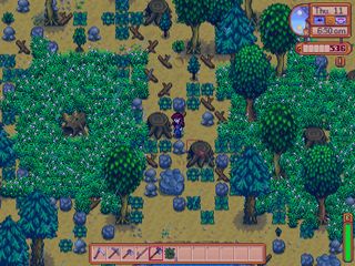 Stardew Valley