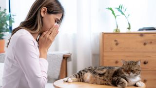 woman sneezing near cat
