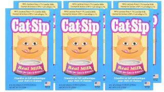 Cat Sip Real Milk Treat