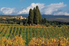 which chianti classico should I buy in 2022