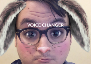 Adorable Bunny