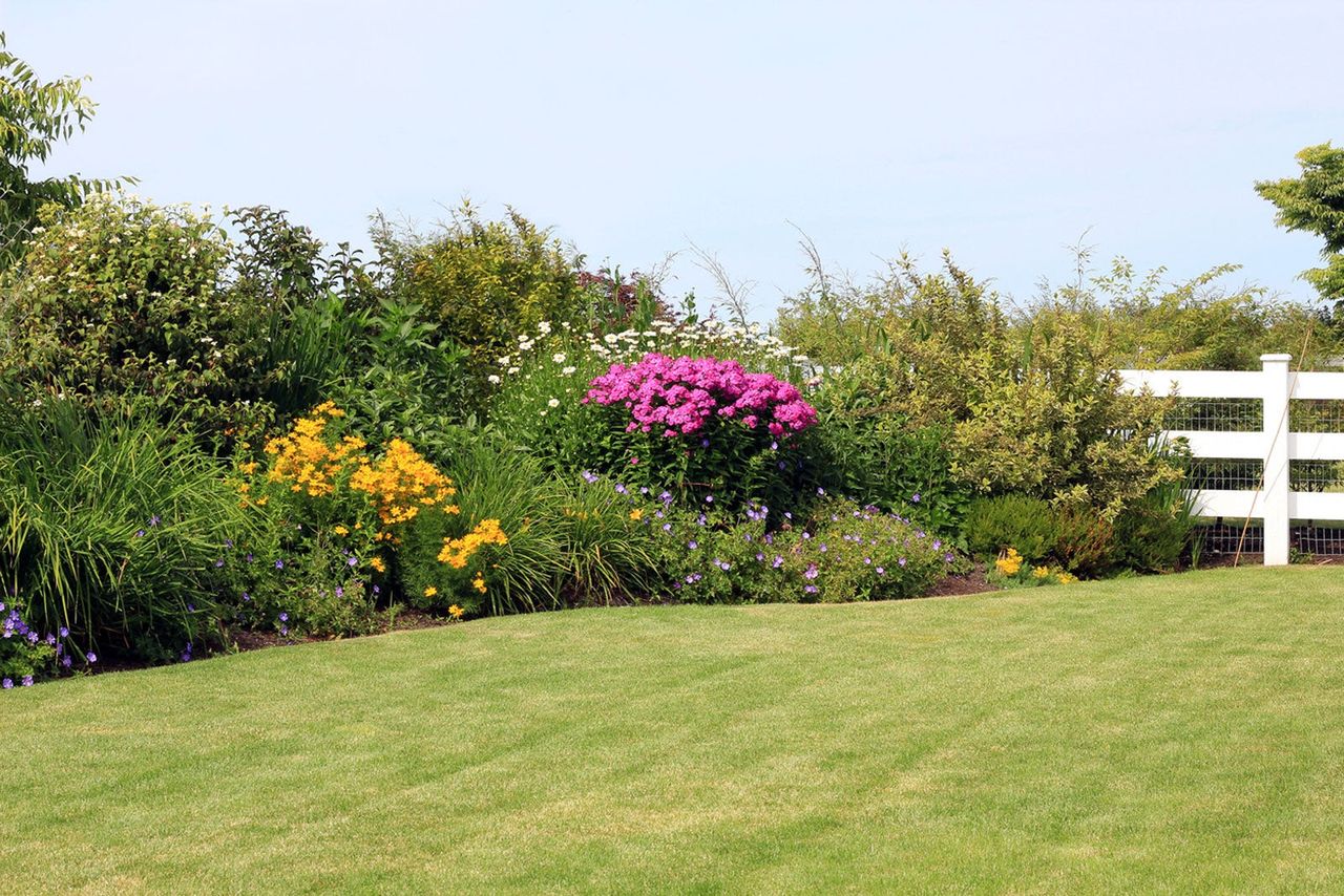 Mowed Grass With Flower Garden