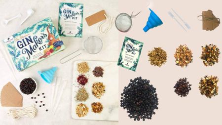 gin making kit amazon prime day