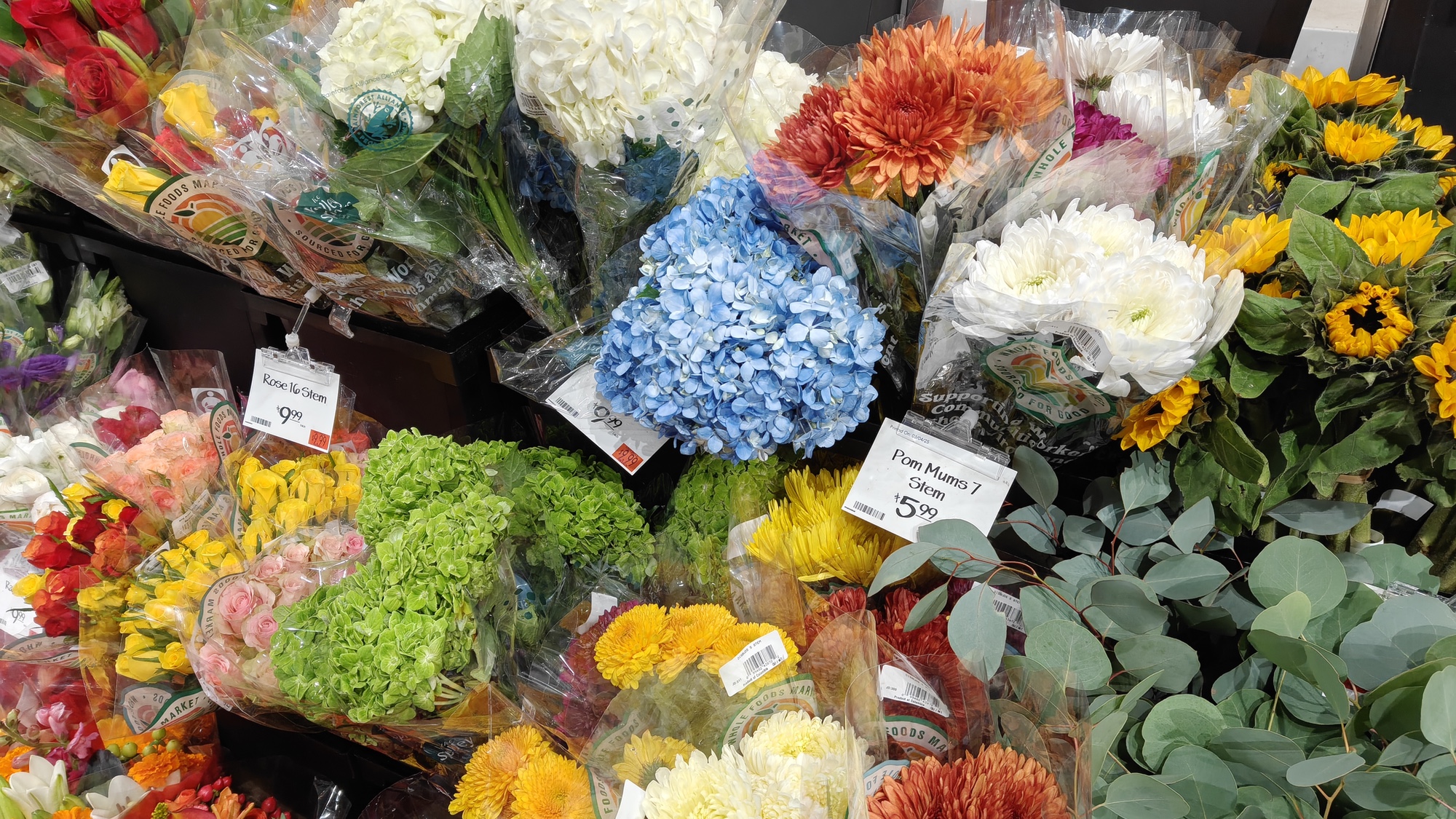 flowers shot by OnePlus 15