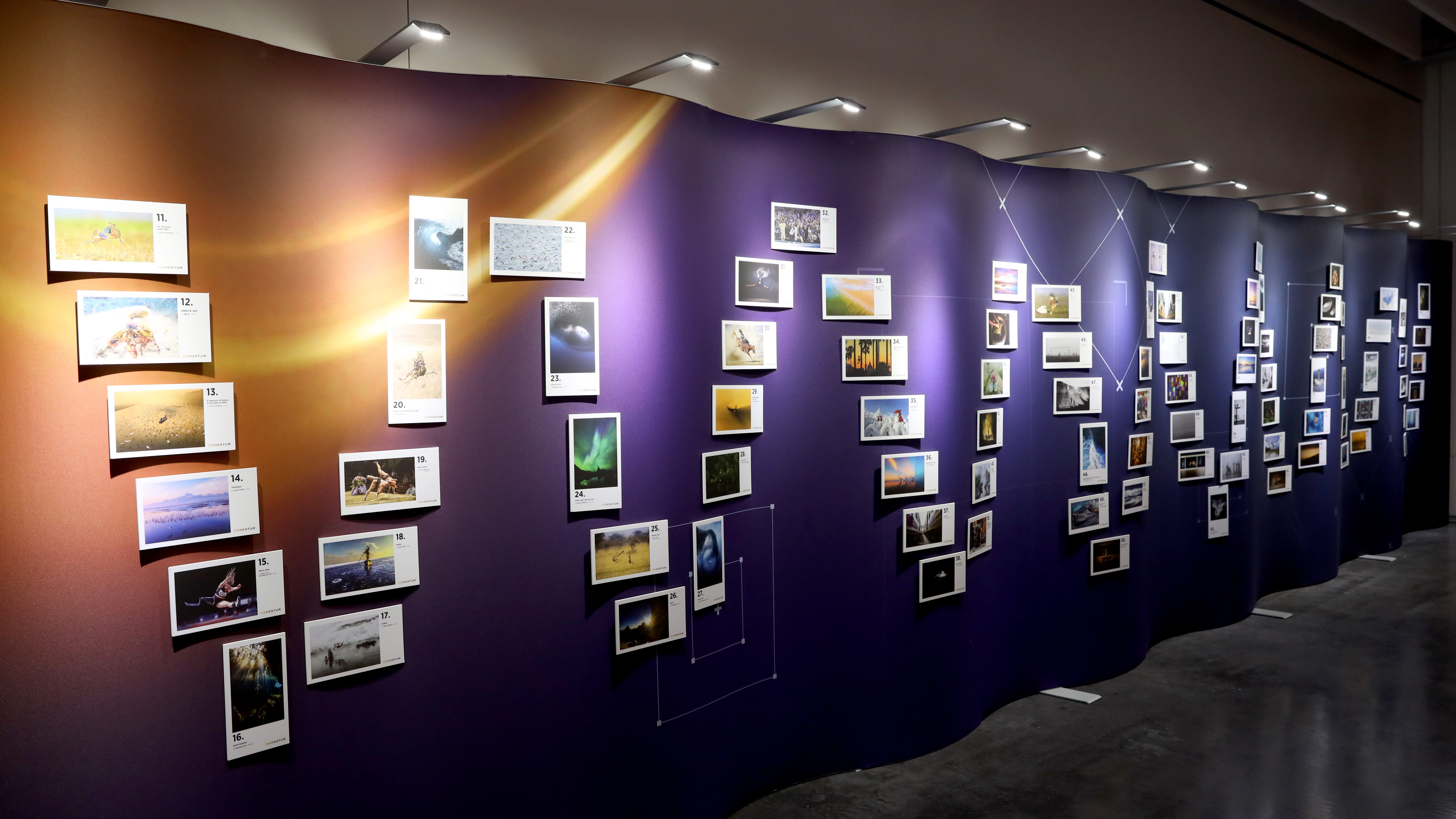 Gallery display of the winning images from the 5th ViewSonic ColourPro Awards Photography category, displayed at the ceremony in Dusseldorf, Germany