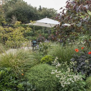 A garden border filled with wildflowers