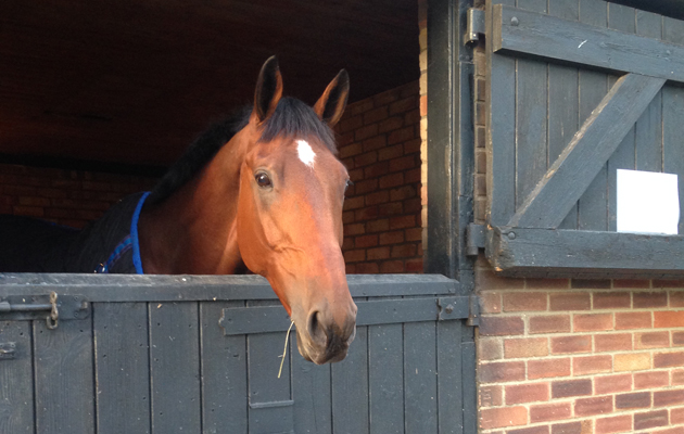 Alice-Dunsdon-blog-01.jpeg