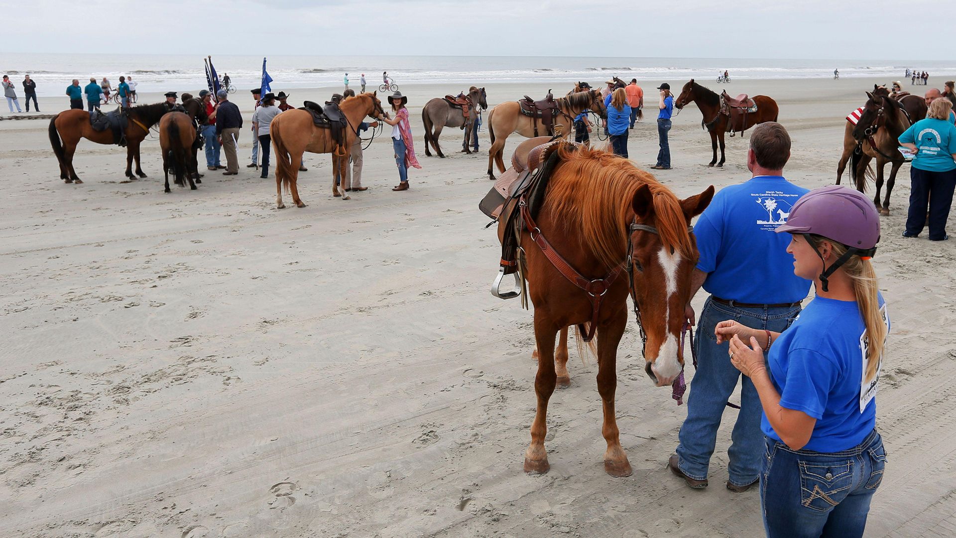carolina marsh tackies and their owners on the beach