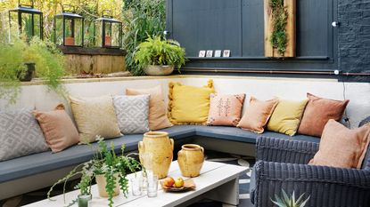 Premium Photo  Home interior blue with sofa and terracotta walls