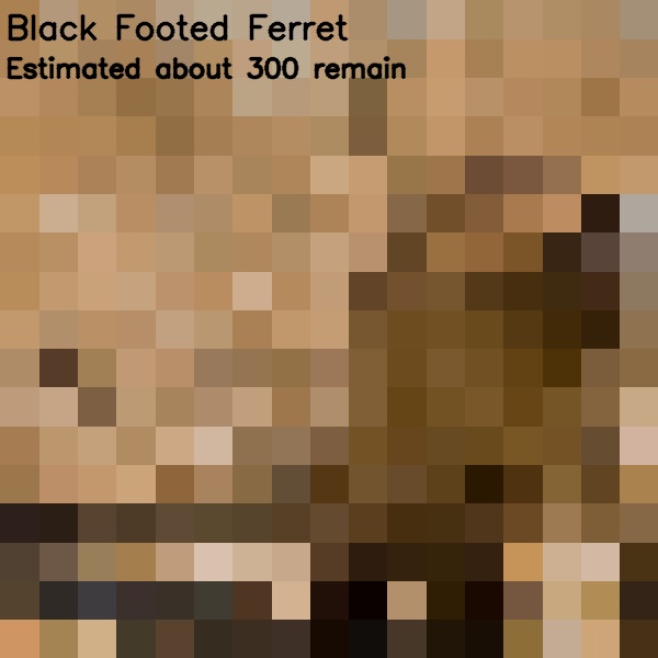 Pixelated images of endanger species